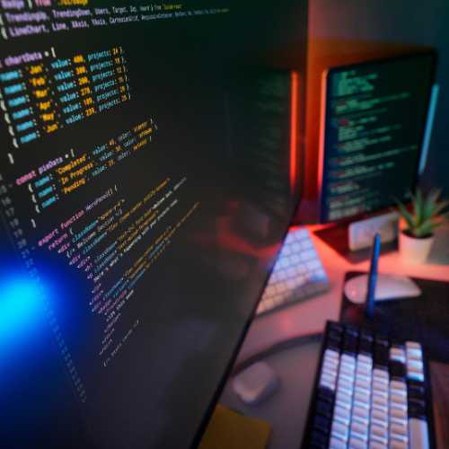 Custom software development service